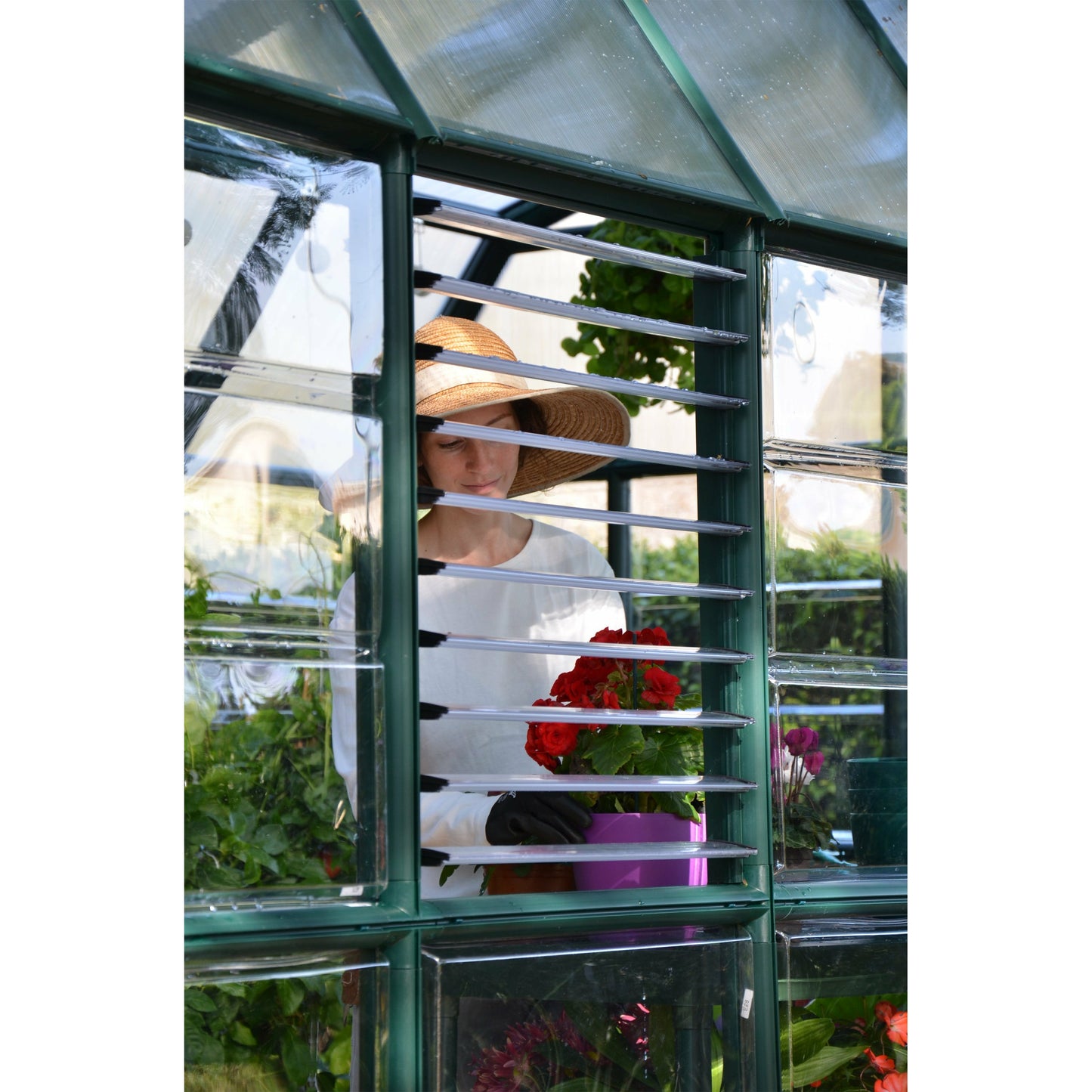 Rion Prestige 2 Clear 8' x 16' Greenhouse