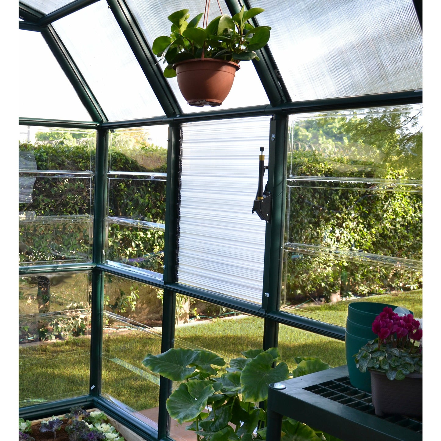 Rion Prestige 2 Clear 8' x 16' Greenhouse