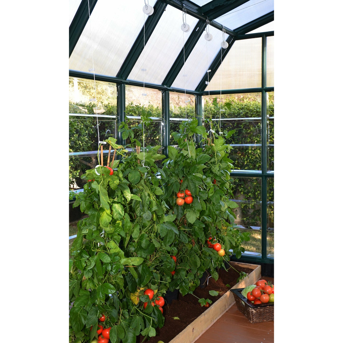 Rion Prestige 2 Clear 8' x 12' Greenhouse