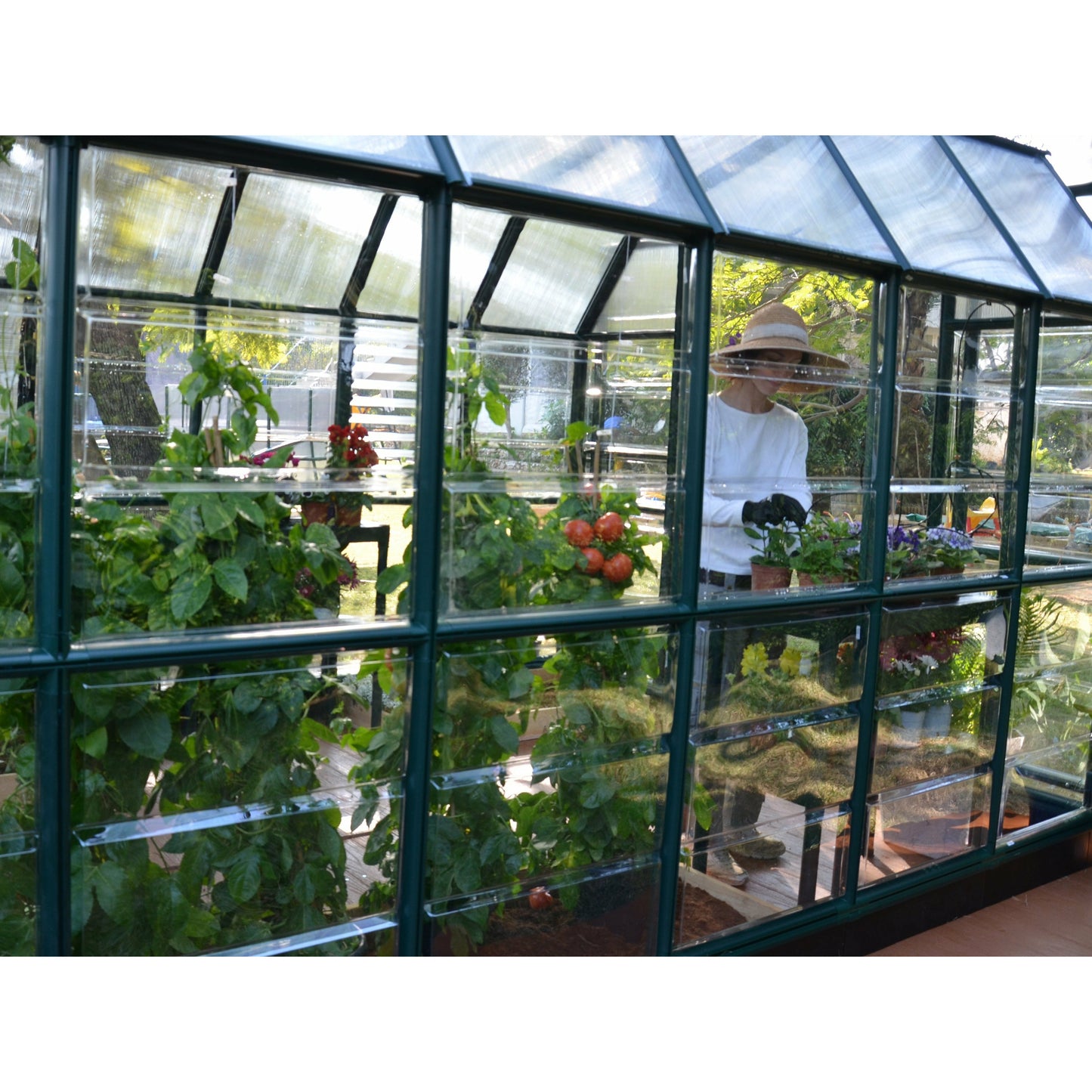 Rion Prestige 2 Clear 8' x 12' Greenhouse