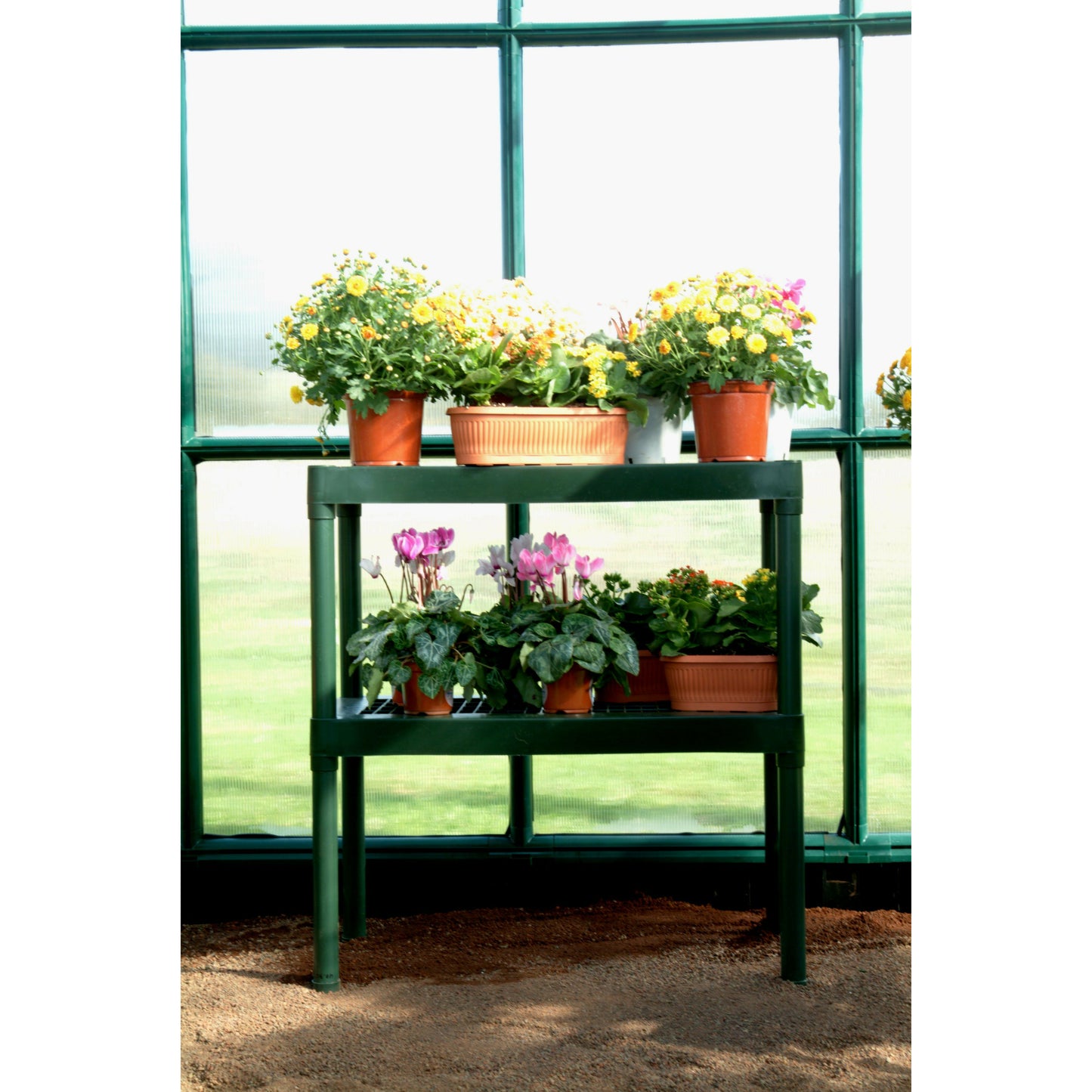 Rion Prestige 8' x 20' Greenhouse