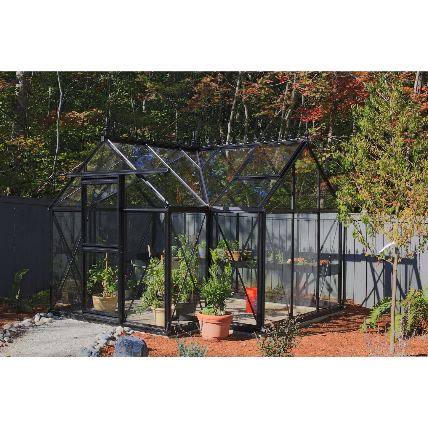 Exaco Janssens Junior Orangerie Greenhouse 10 x 13