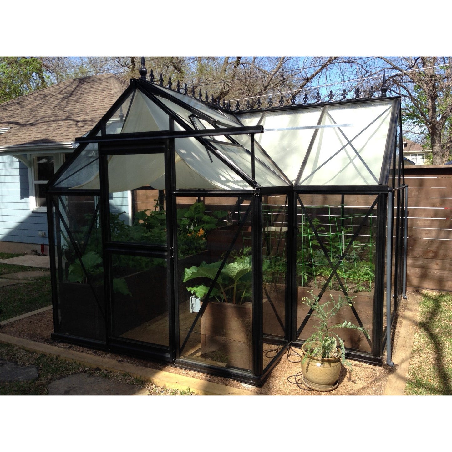 Exaco Janssens Junior Orangerie Greenhouse 10 x 13