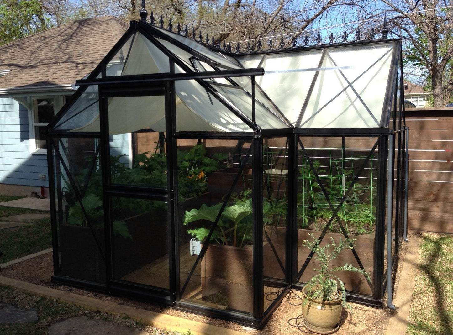 Exaco Janssens Junior Orangerie Greenhouse 10 x 13ft