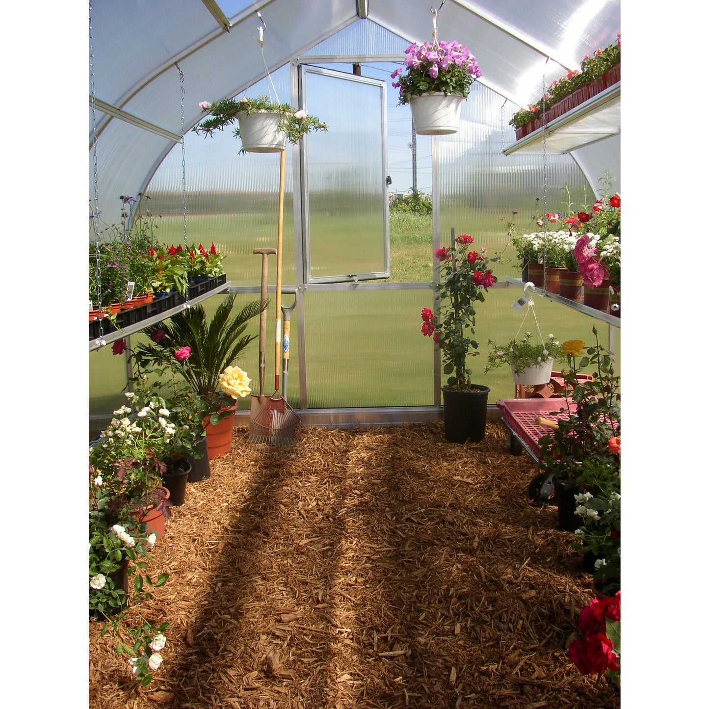 RIGA 4 Greenhouse (14' x 9'8")