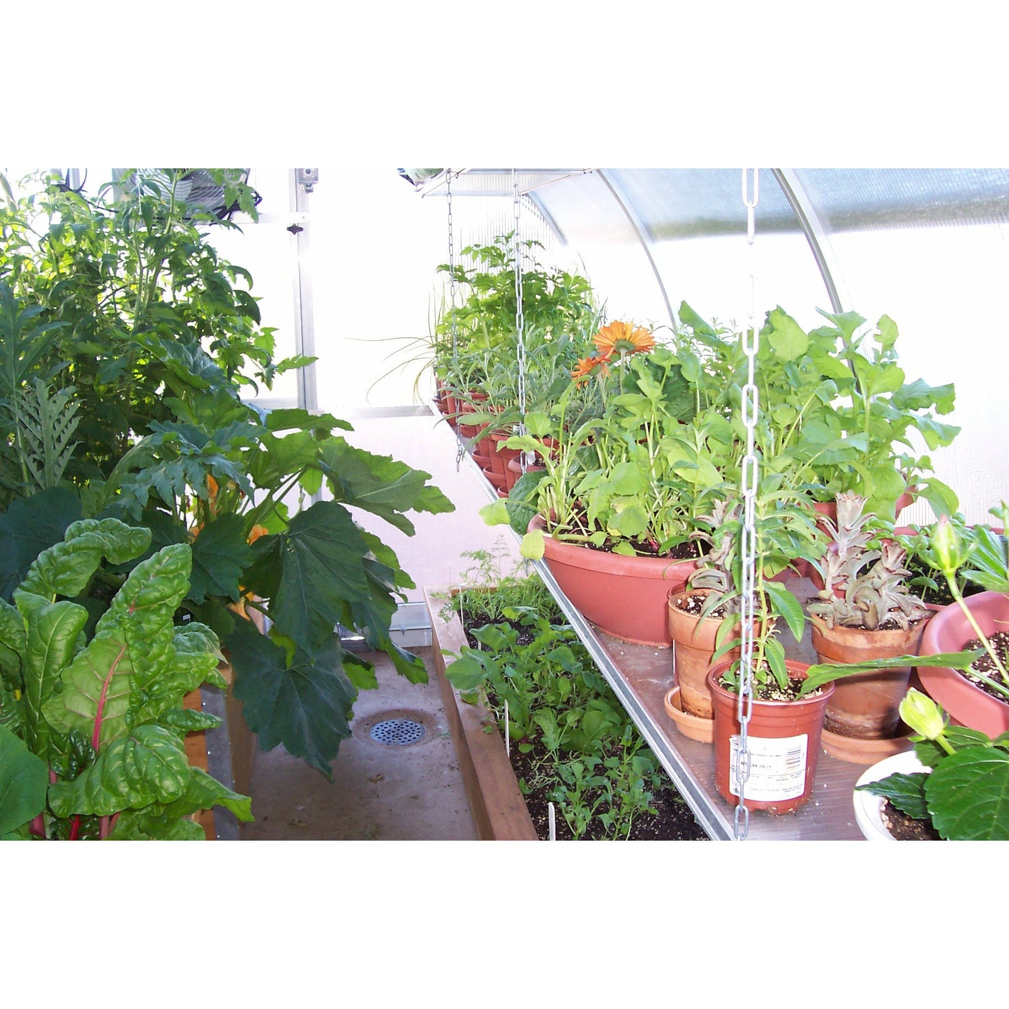 RIGA 4 Greenhouse (14' x 9'8")