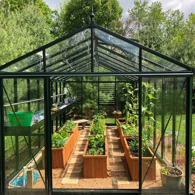 Exaco Janssens Royal Victorian VI 36 Greenhouse 10 x 20 ft