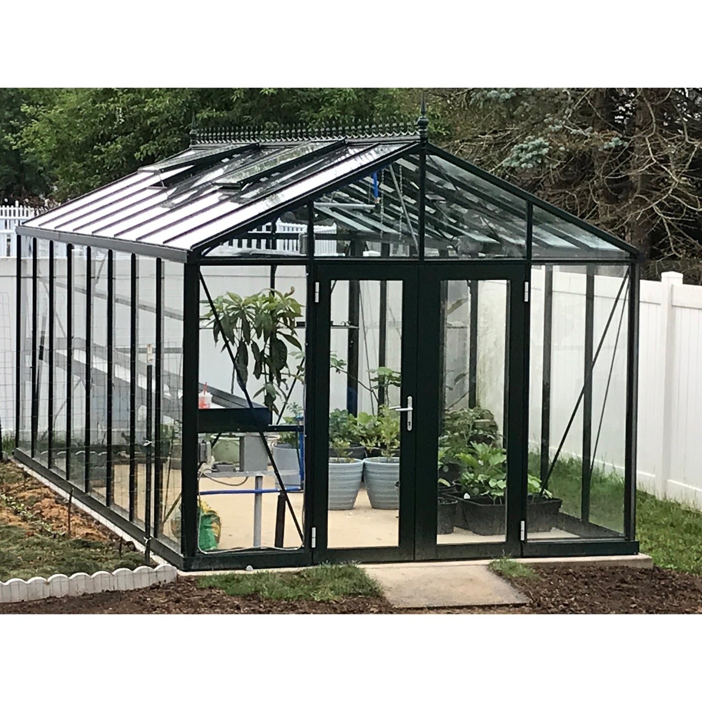 Exaco Janssens Royal Victorian VI 36 Greenhouse 10 x 20 ft