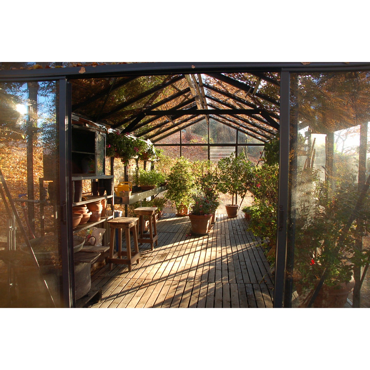 Exaco Janssens Royal Victorian VI 36 Greenhouse 10 x 20 ft