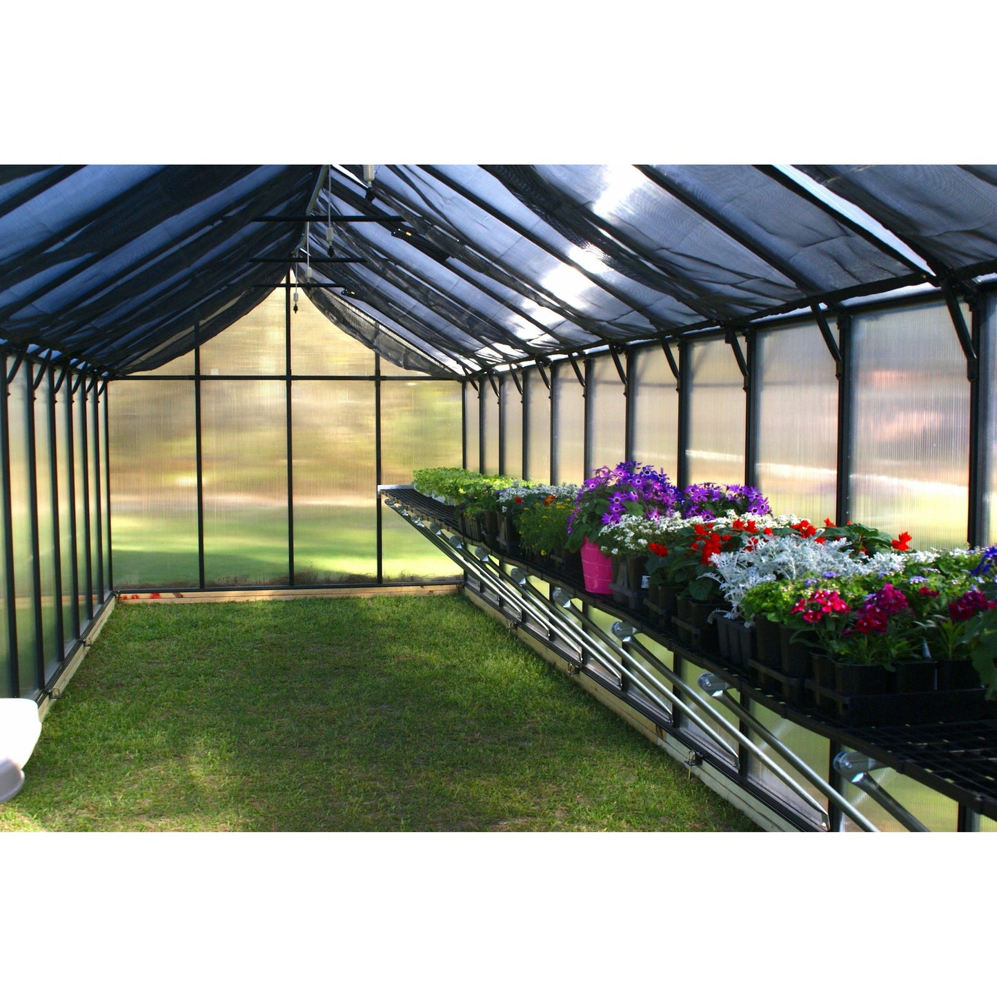 Mont Greenhouse 8FTx 24FT - Black Finish - Premium Package MONT-24-BK-PREMIUM