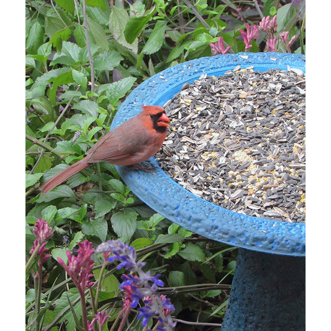 Dark/Light Blue Bird Bath