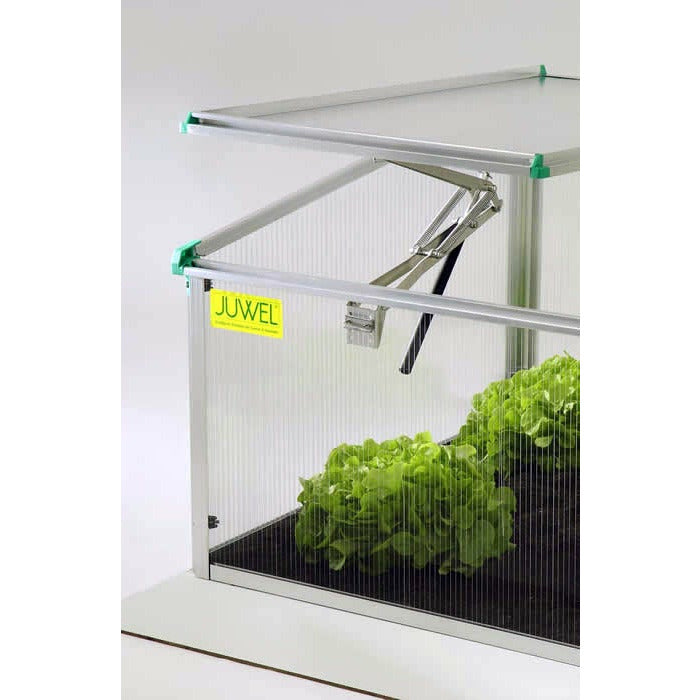 BioStar 1500 Premium Cold-Frame