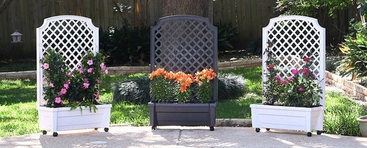 Exaco Calypso Planter with Trellis and Water Reservoir