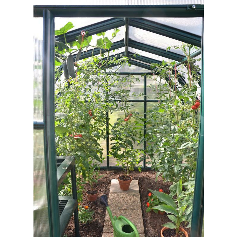 Palram - Canopia EcoGrow 6' x 8' Greenhouse