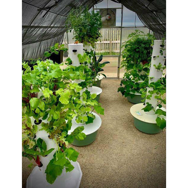 RIGA XL 9 Greenhouse 14' x 29'6"