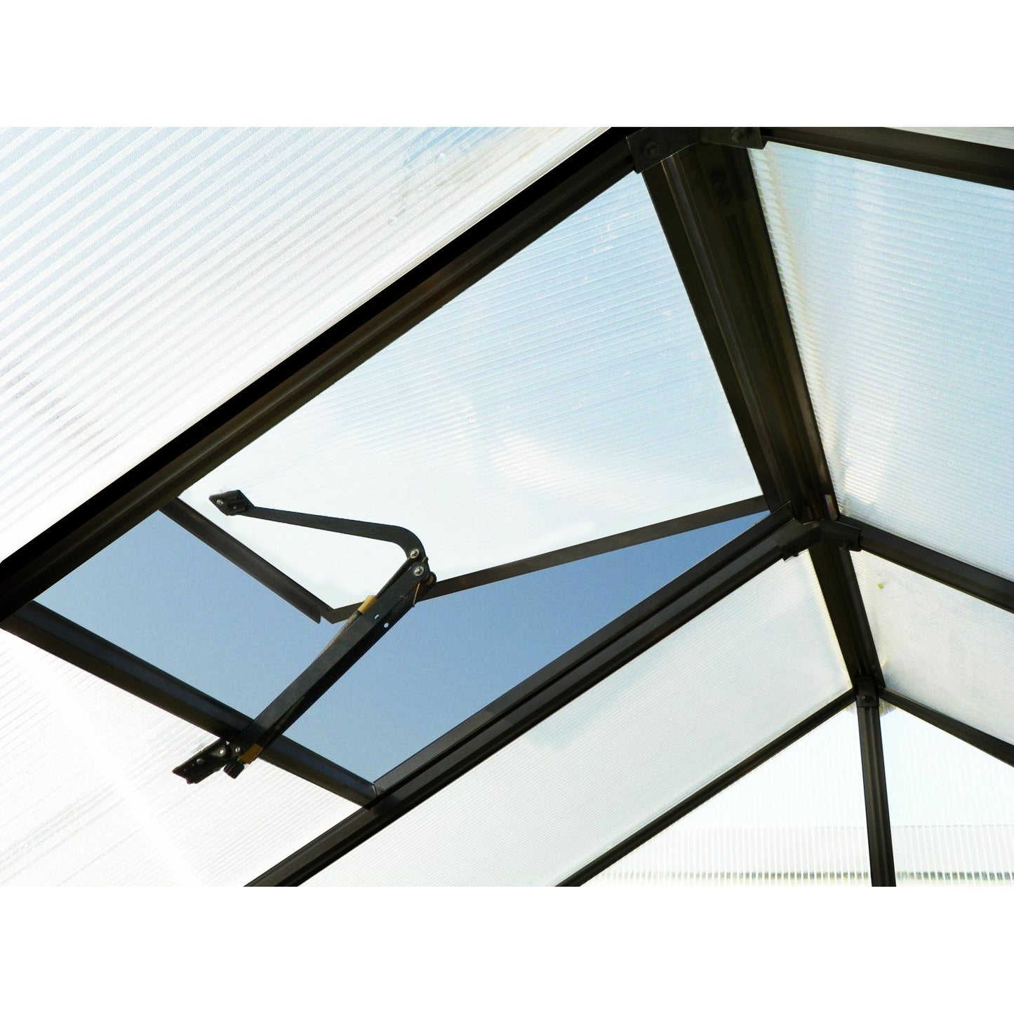 Mont Growers Edition Greenhouse 8FTx 24FT - Black Finish MONT-24-BK-GROWERS