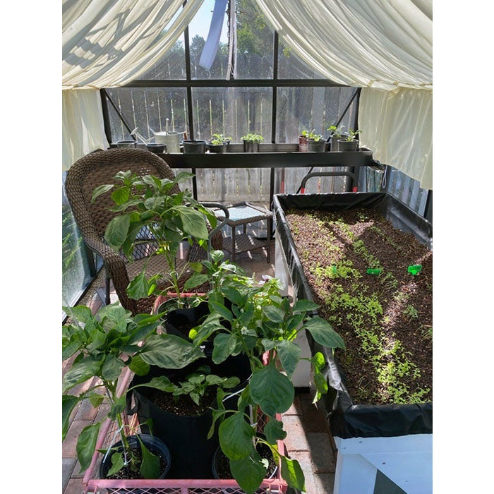 Exaco Janssens Junior Victorian Greenhouse