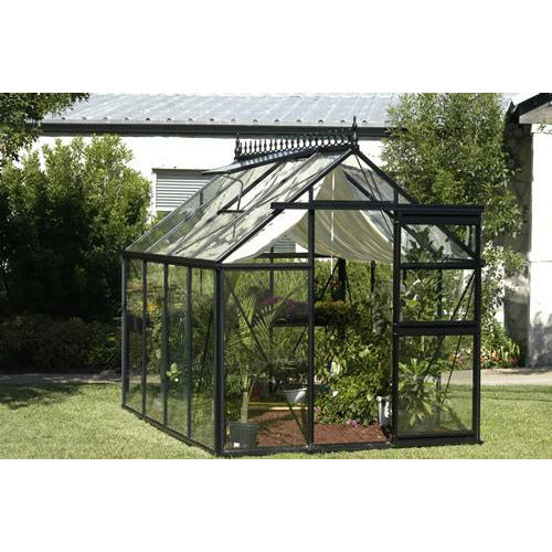 Exaco Janssens Junior Victorian Greenhouse