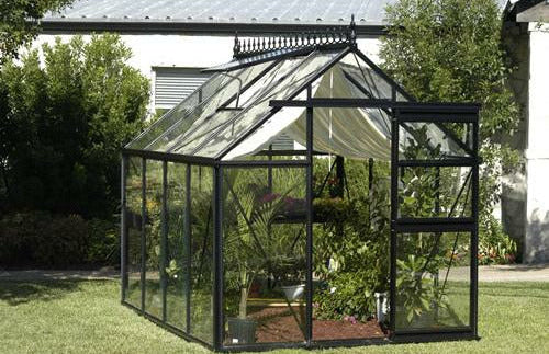 Exaco Janssens Junior Victorian Greenhouse