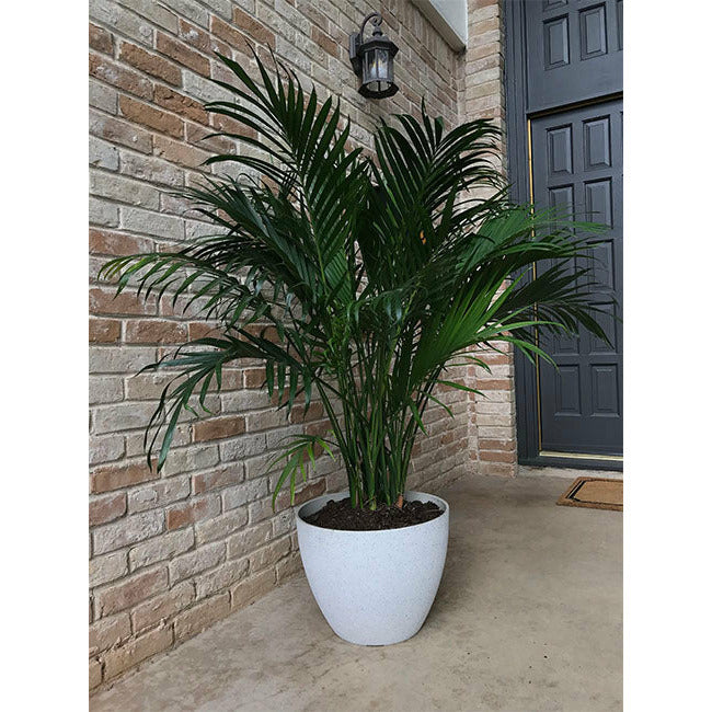Planter - Medium Large - Spackled White