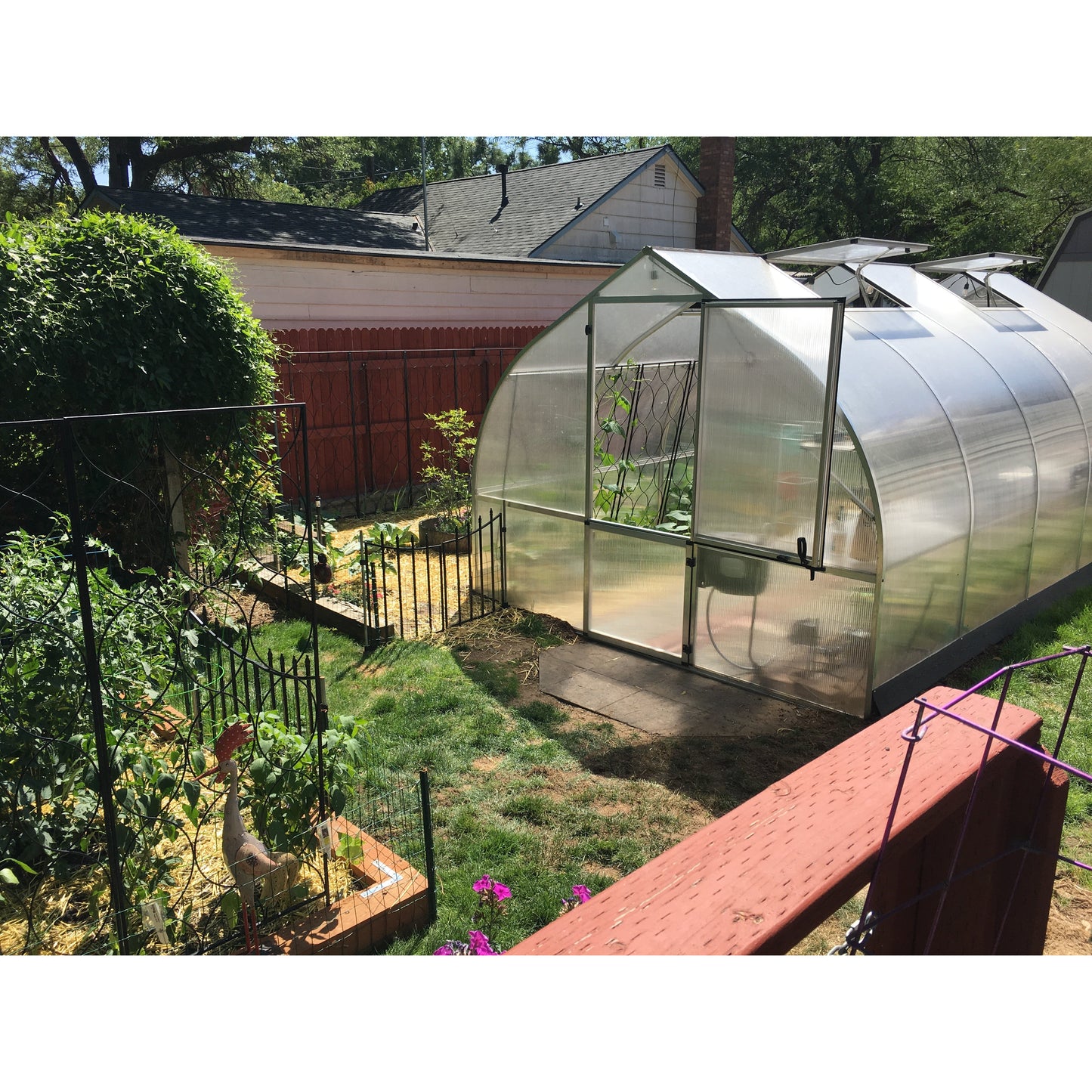 RIGA 5 Greenhouse (17'6" x 9'8")