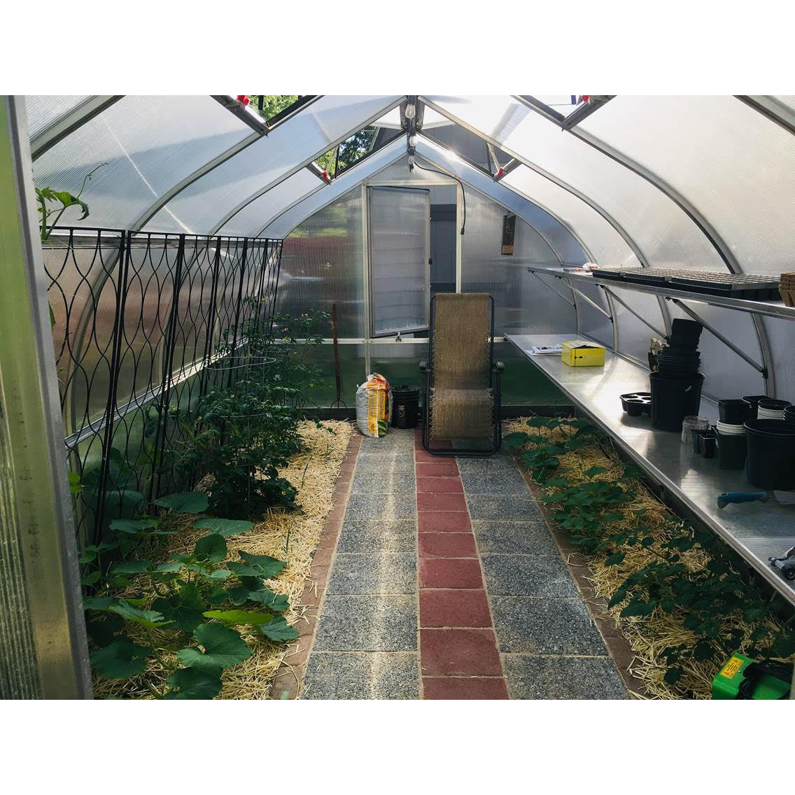 RIGA 5 Greenhouse (17'6" x 9'8")