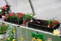 RIGA Heavy Duty Seed Trays