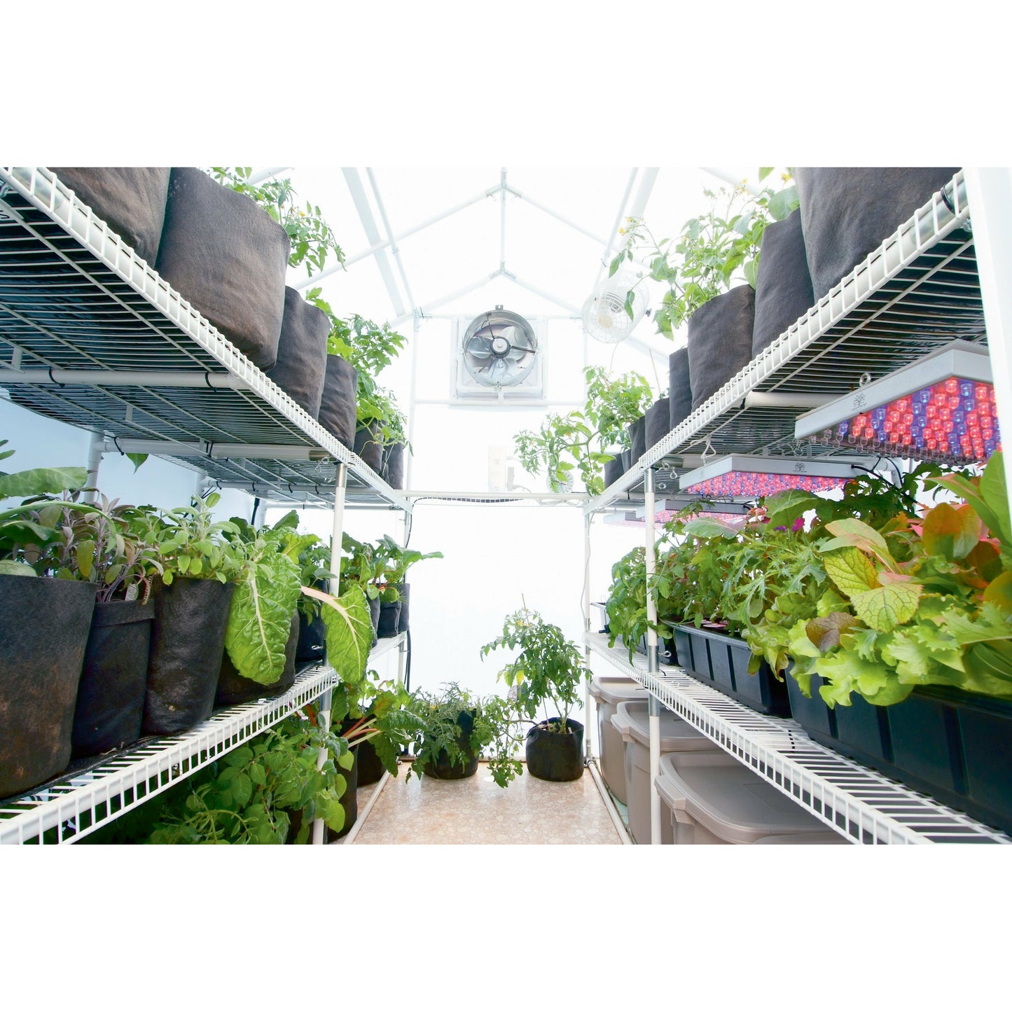 Solexx Garden Master Greenhouse 8'W x 24'L x 8'9"H
