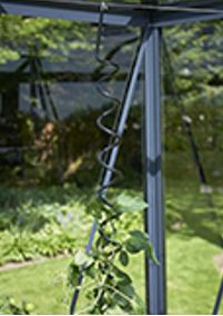 Flexible Plant Spirals for Vertical Growth