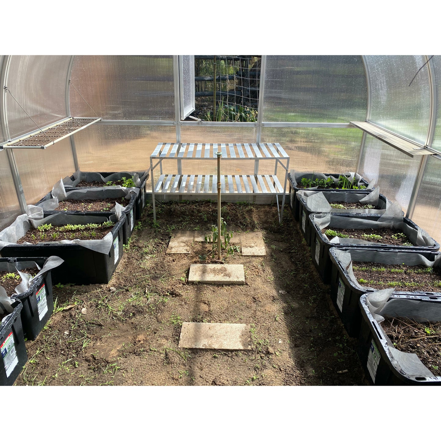RIGA 4s Greenhouse (14' x 7'8")