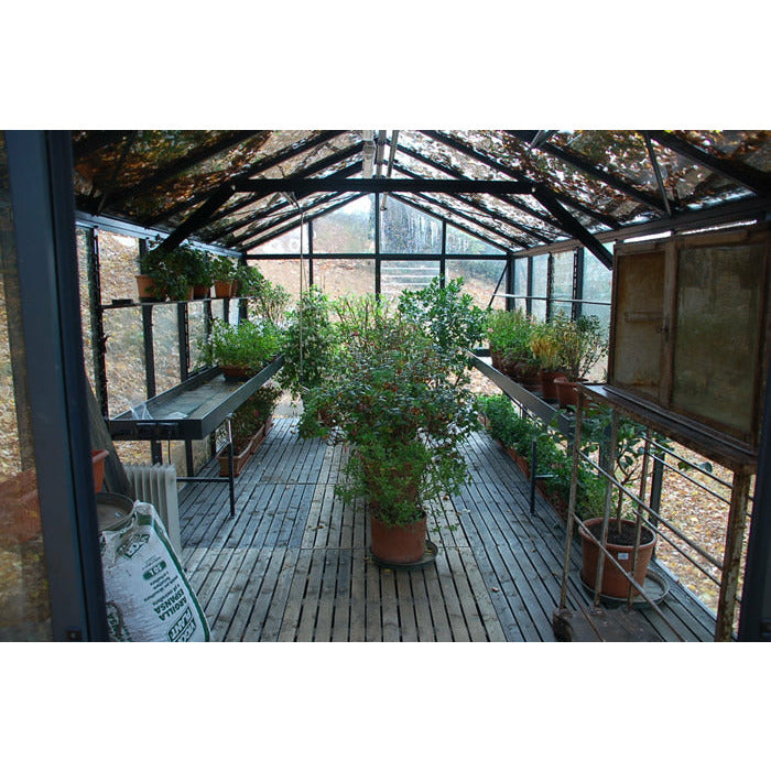 Exaco Janssens Royal Victorian VI 36 Greenhouse 10 x 20 ft