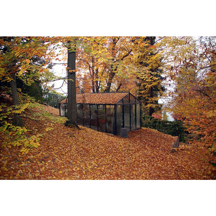 Exaco Janssens Royal Victorian VI 36 Greenhouse 10 x 20 ft