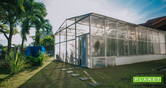 A Comprehensive Guide To Buying Greenhouses - Planet Greenhouse