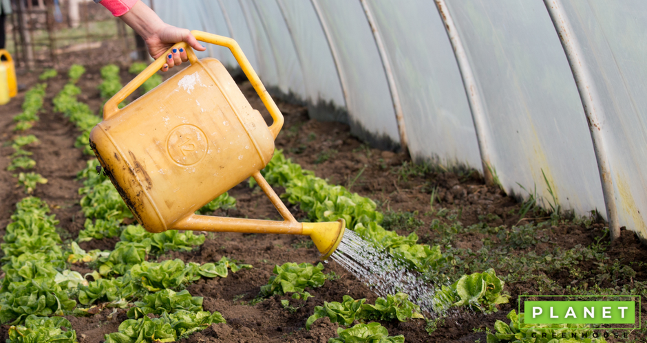 A Guide To Water System For Greenhouse