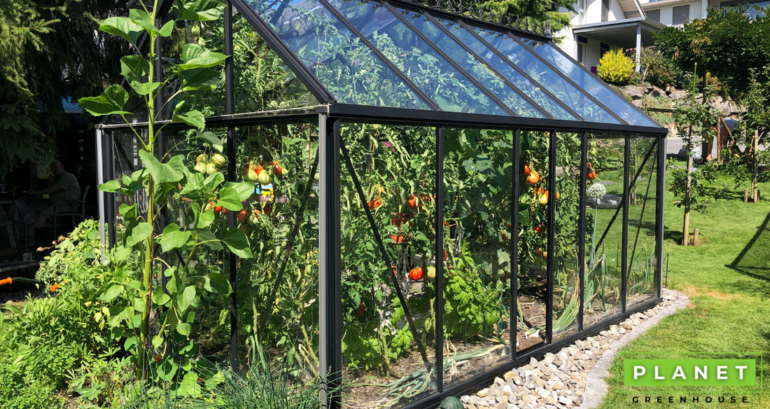 Double Side Greenhouse Vents - BC Greenhouses