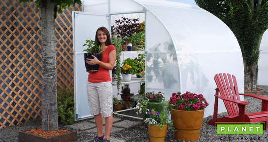 Best High Tunnel Greenhouse Kits In The Market - Planet Greenhouse