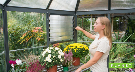 Palram Greenhouses: Are They Worth Buying? - Planet Greenhouse