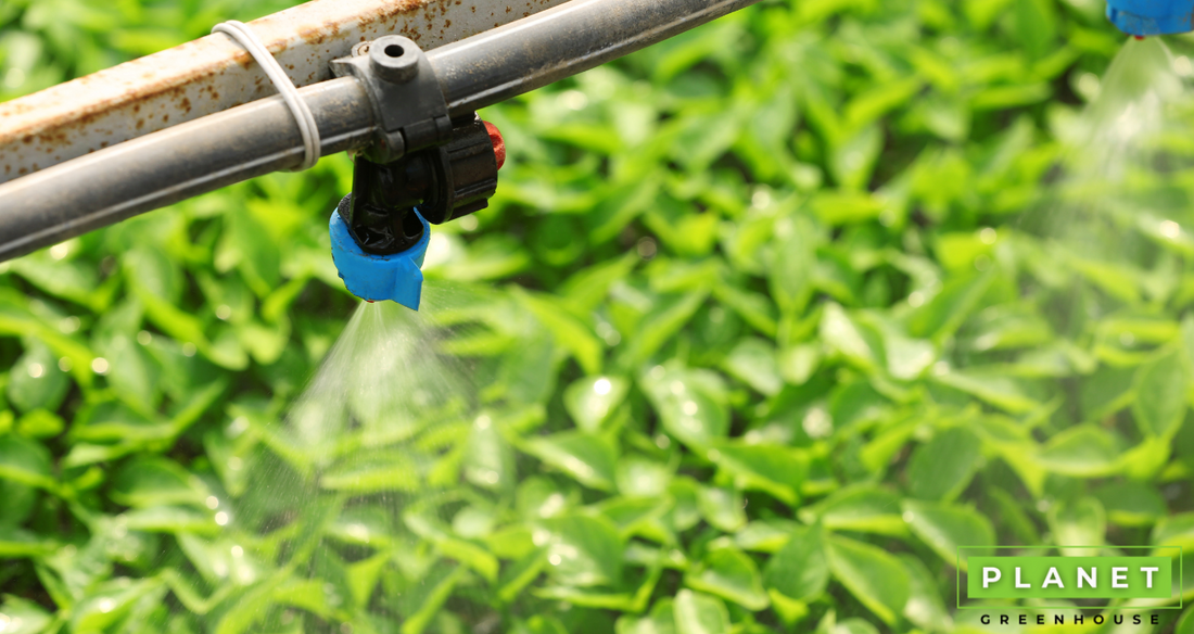Should You Install A Greenhouse Watering System For Your Garden?? - Planet Greenhouse
