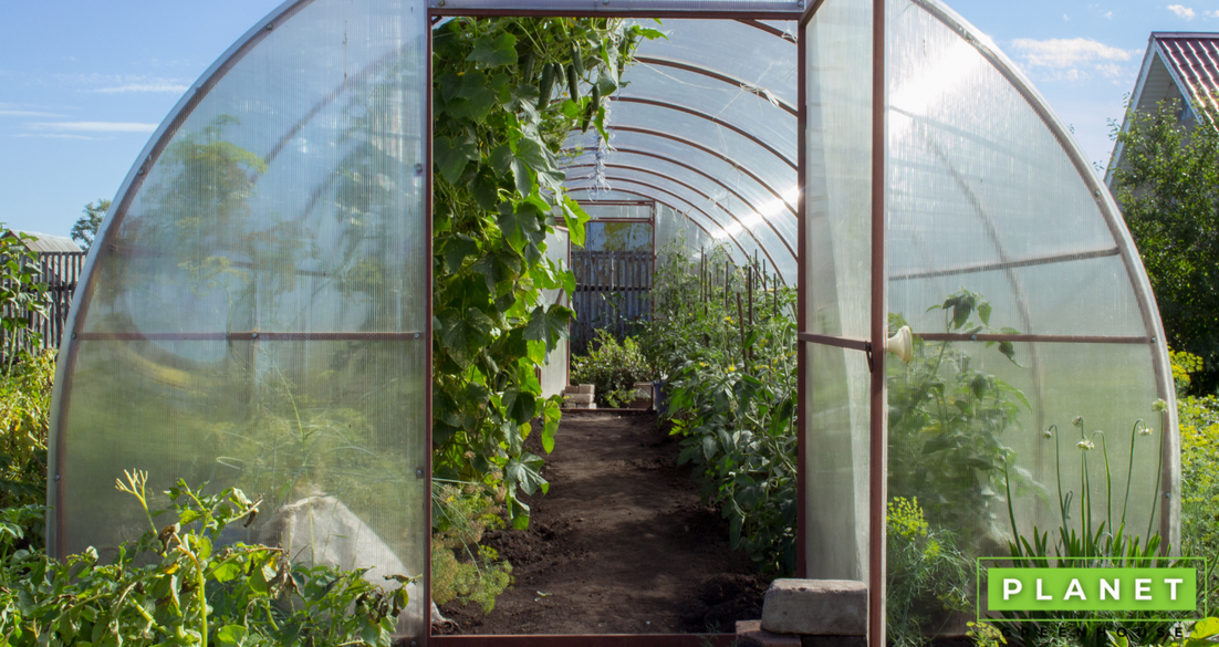 The Best Greenhouse Materials Which Should I Choose