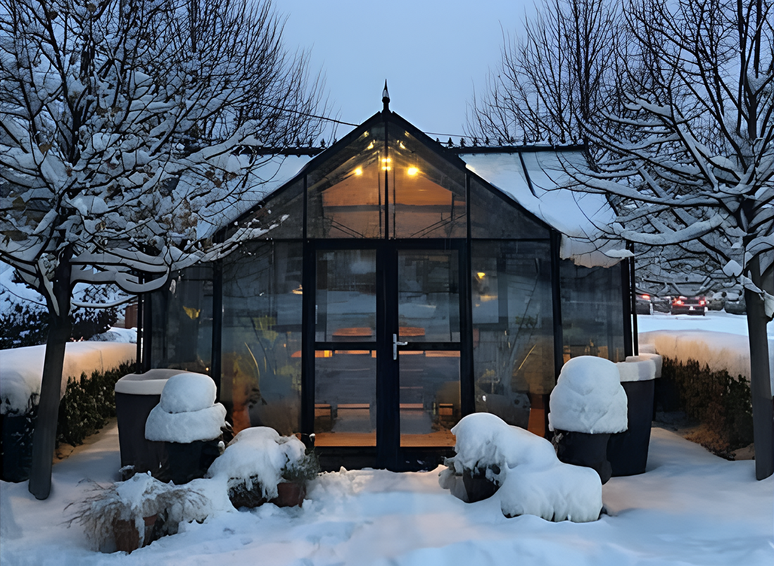 Guide to buying a greenhouse