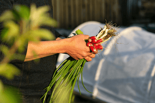 Portable Greenhouses