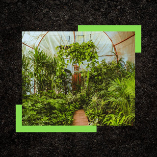 Exaco Greenhouses