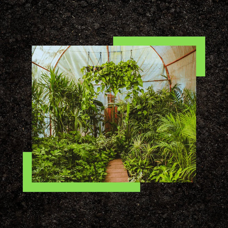 Exaco Greenhouses