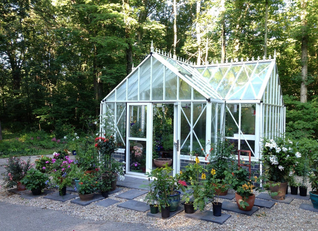 Exaco - Janssens Royal Antique Orangerie Greenhouse 13 x 16'