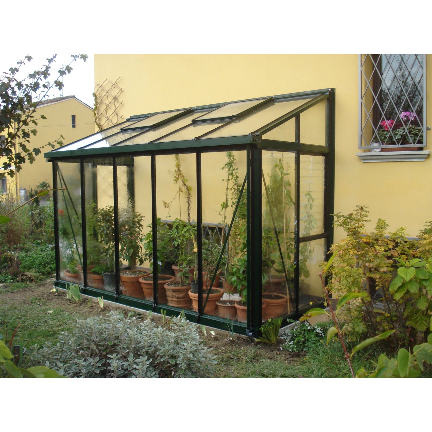 Exaco Janssens Arcadia Lean-to Greenhouse