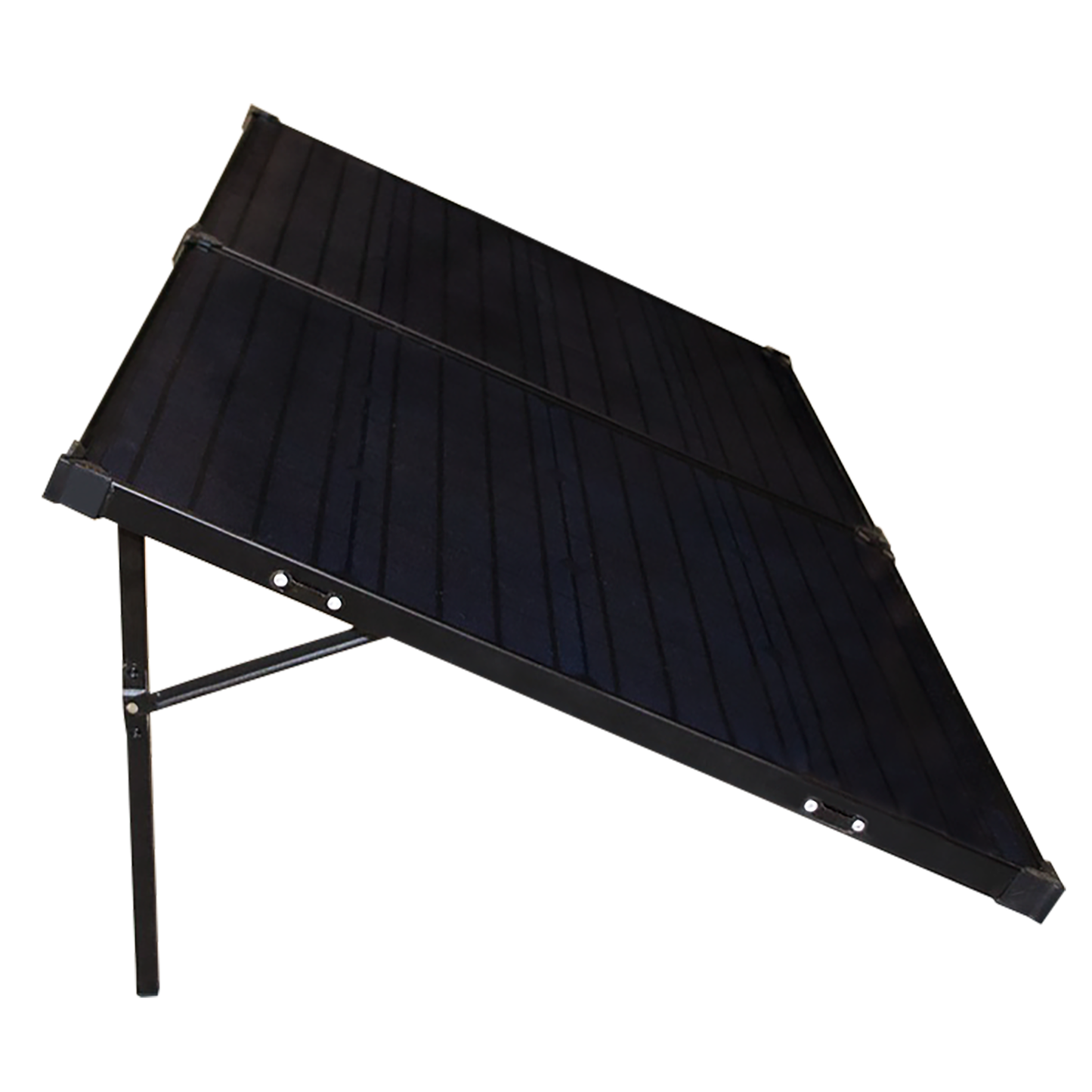 Lion 100W 24V Panel Folding Solar Panel, 100W, 24V