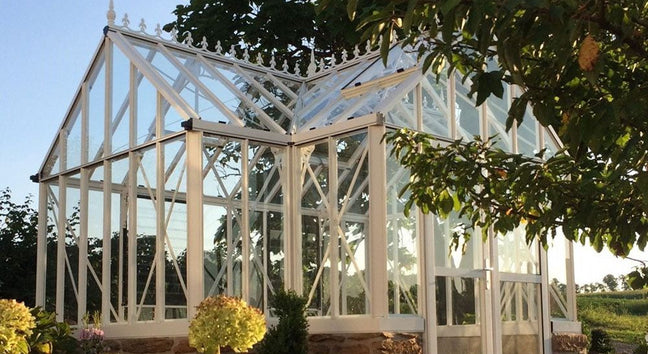 Exaco - Janssens Royal Antique Orangerie Greenhouse 13 x 16'