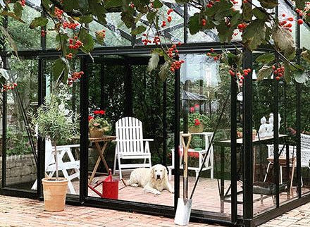 Janssens Modern Greenhouse