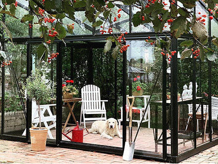 Janssens Modern M36 Greenhouse 10 x 20