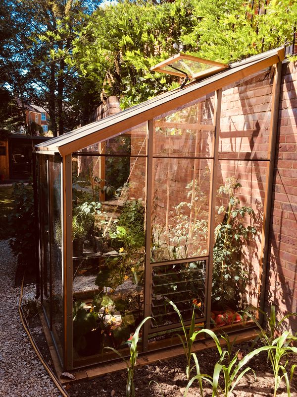 Alton Evolution Six-LT Cedar Greenhouse